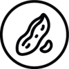 Erdnuss