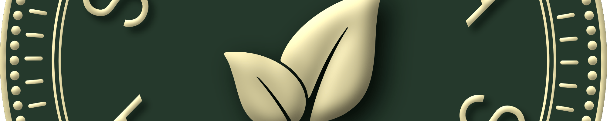 Salutteria Core