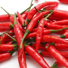 Port. gehackte Thai Chillies Port. gehackte Thai Chillies
