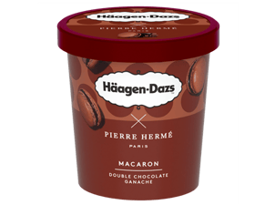 Häagen-Dazs Macaron Double Chocolate Ganache  (420 ml)