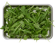 Rucola