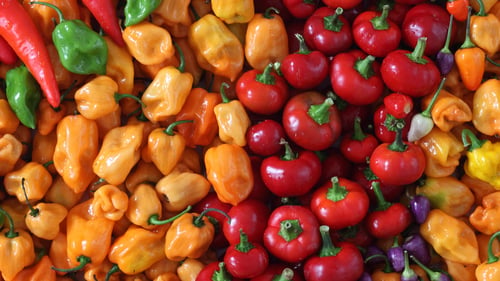 Paprika mix 3 stuks