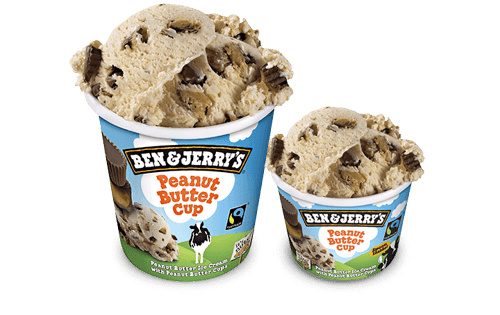 Ben & Jerry's Peanut Butter Cup 100 ml