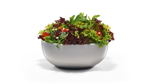 Big Salad