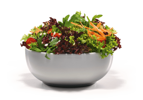 Basic Salat