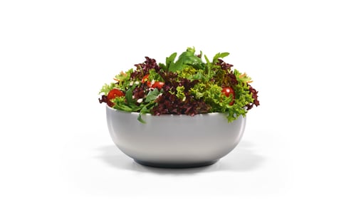 Basic Salad