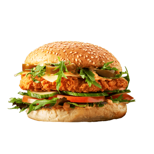 Braziliaanse Kipburger