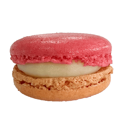 Macaron Cheesecake