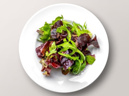 Bio Insalata  Verde klein