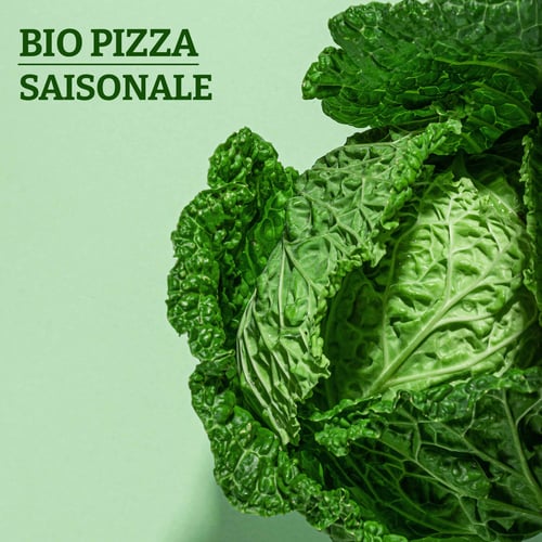 SAISONALE DUE WIRSING VEGI