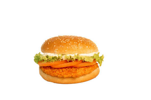 Crunchy Burger
