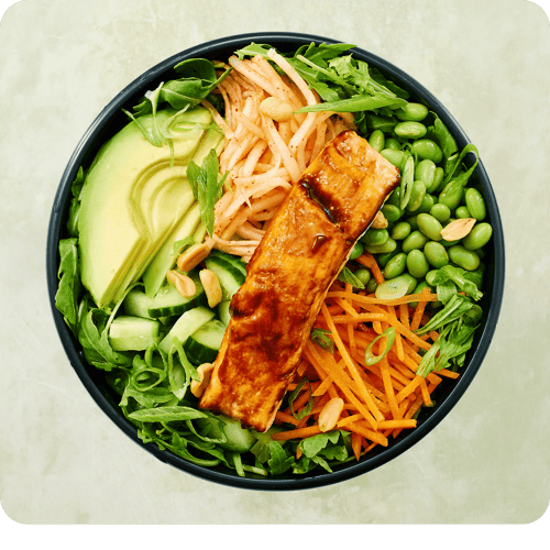 Harakiri Salmon