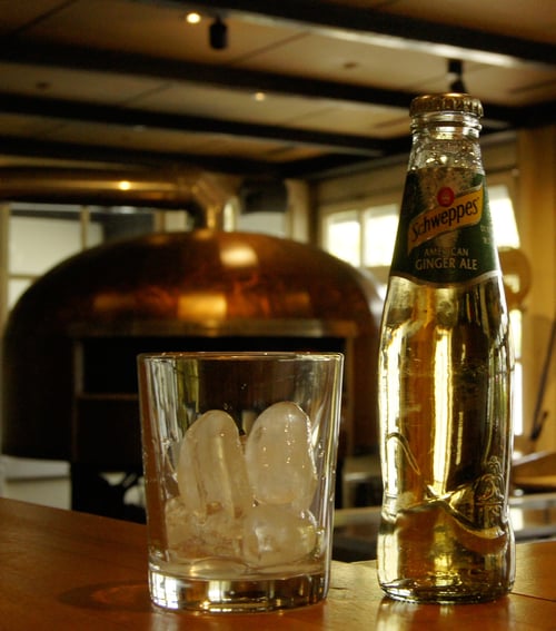 Goldberg & Sons Pink Grapefruit 0,2l