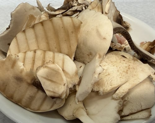 frische Champignons