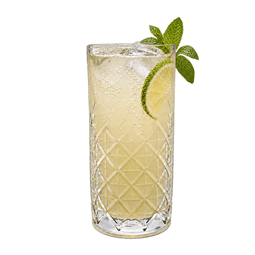 Apfel-Ingwer-Zitrone Limonade 0,4l