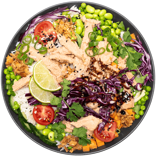 Tuna Teriyaki Bowl