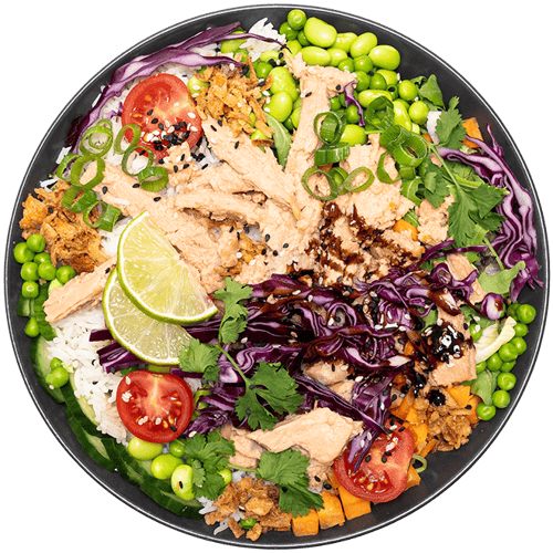  Tuna Teriyaki Bowl