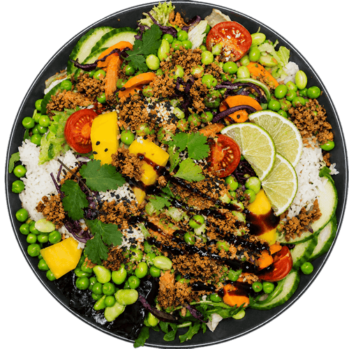 Tuna Teriyaki Bowl