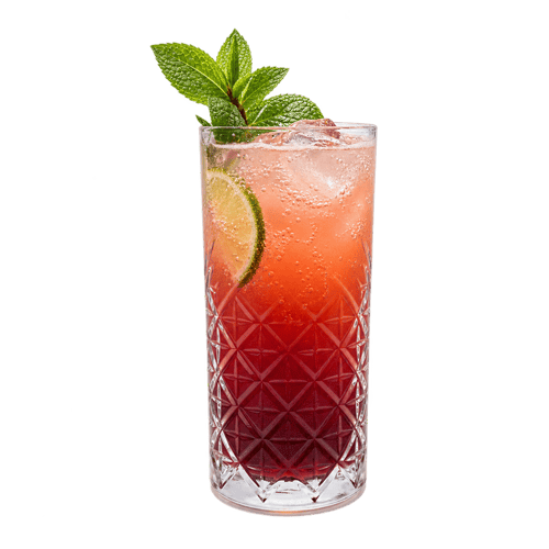 Pflaume-Orange Limonade 0,4l