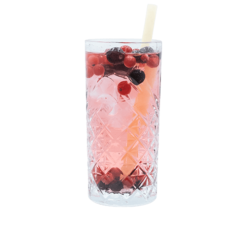 Vodka & Wild Berry, 8,9% Alkohol, 0,3L