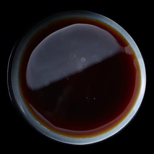 PONZUSAUCE