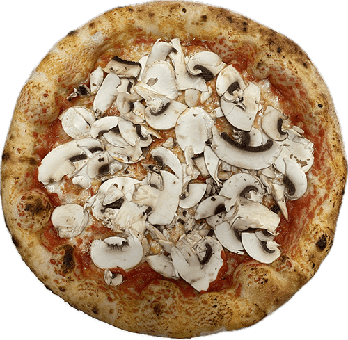 Funghi