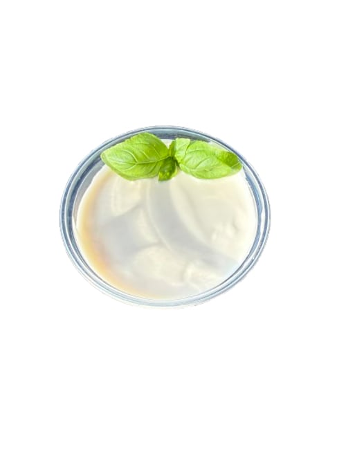 Joghurt Dressing