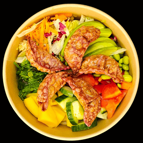  POKE GYOZA ENTE