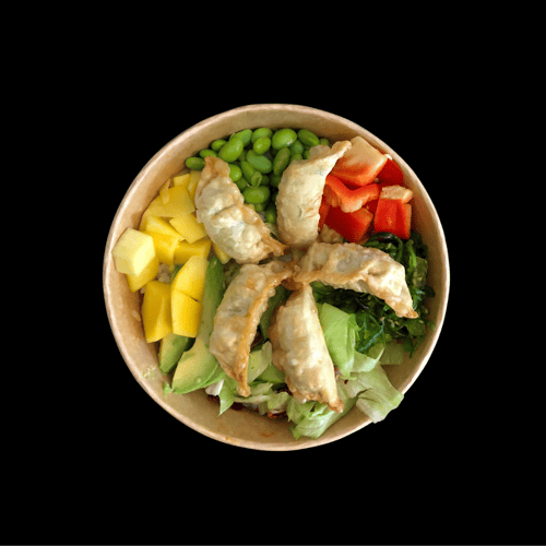 Poke Bowl mit Gyoza Vegetarisch