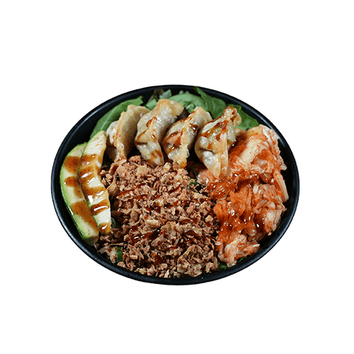 Gyoza Bowl (vegan)