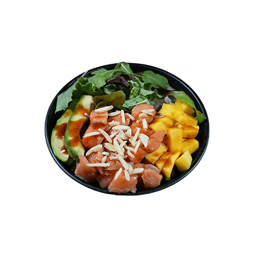 Salmon Bowl