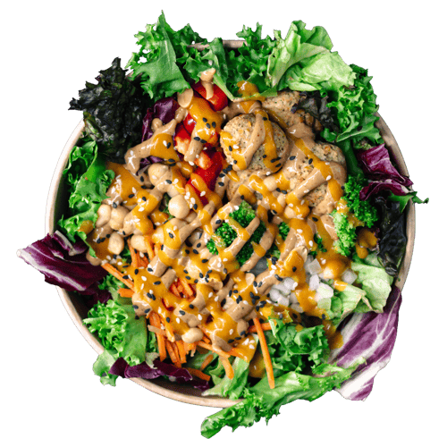 Buddha Salat