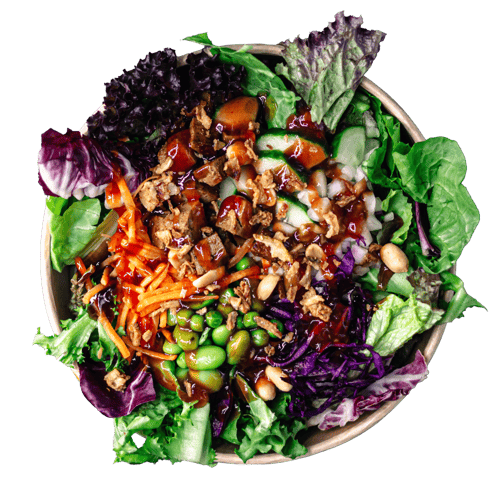 Samurai Salat