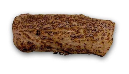 Geflambeerde Tonijn