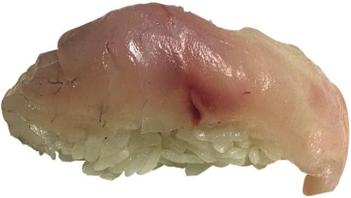 Susuki Nigiri