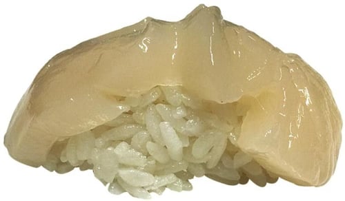 Hotategai Nigiri