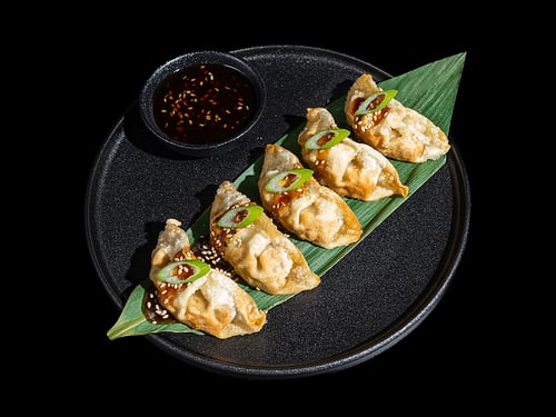 Gyoza Chicken 7