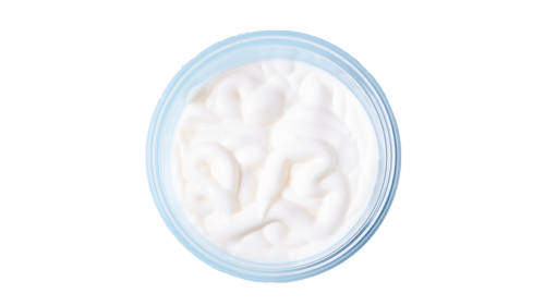 Aioli Sauce