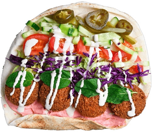 Falafel Wrap