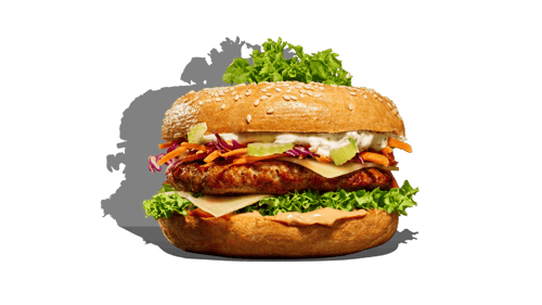 Laufenburger Schweiz