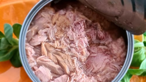 Thunfisch