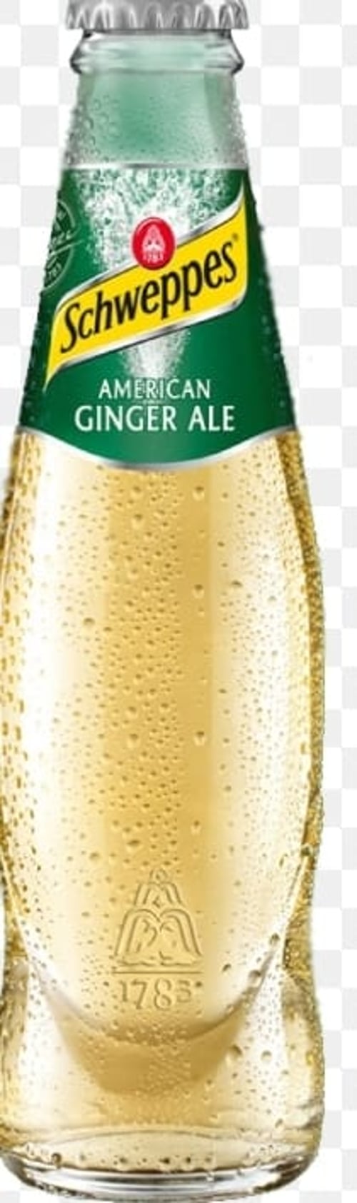 Ginger Ale 0,2l