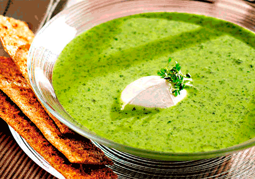 Kräutercremesüppchen mit Vollkornbrot (M)