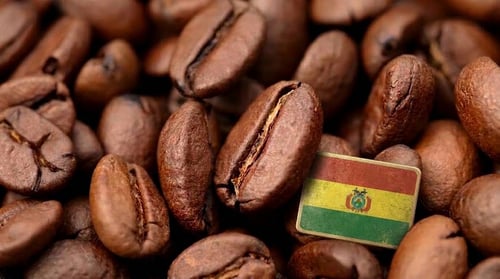 Bolivien 250g