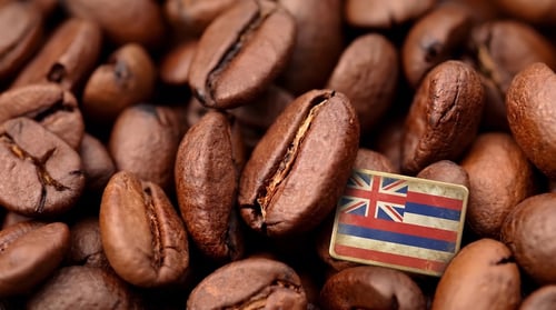 Hawaii Kona 100g