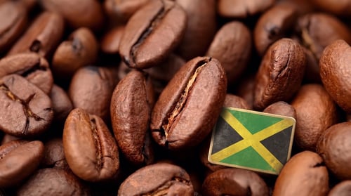 Jamaica 100g