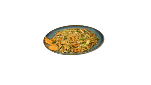 Fried Noodles mit Chicken