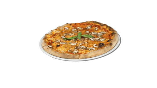 Pizza Funghi