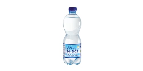 Wasser mit Kohlensäure - Pet 0,5l