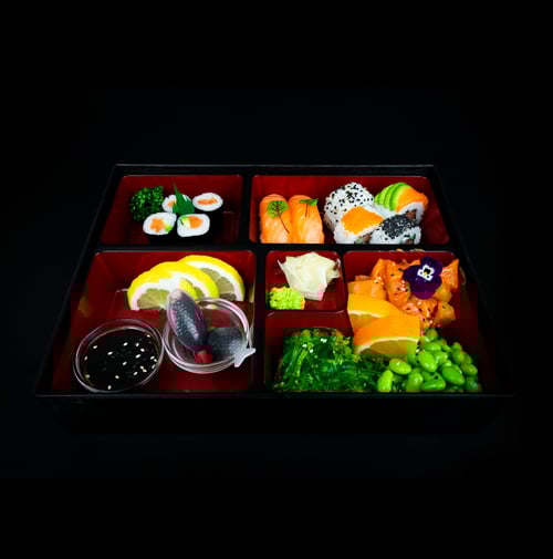 Sushi Bento Box (10 Stück)